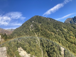 S__10166351_0.jpg