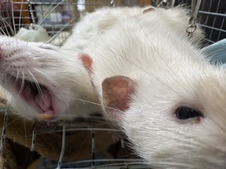 S__10264599.jpg