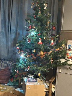christmas tree.jpg
